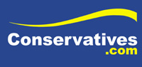 Political Interests & Career